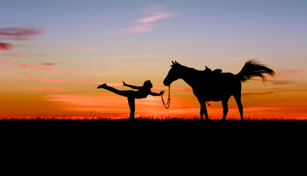 chiropractic-for-horseback-riders